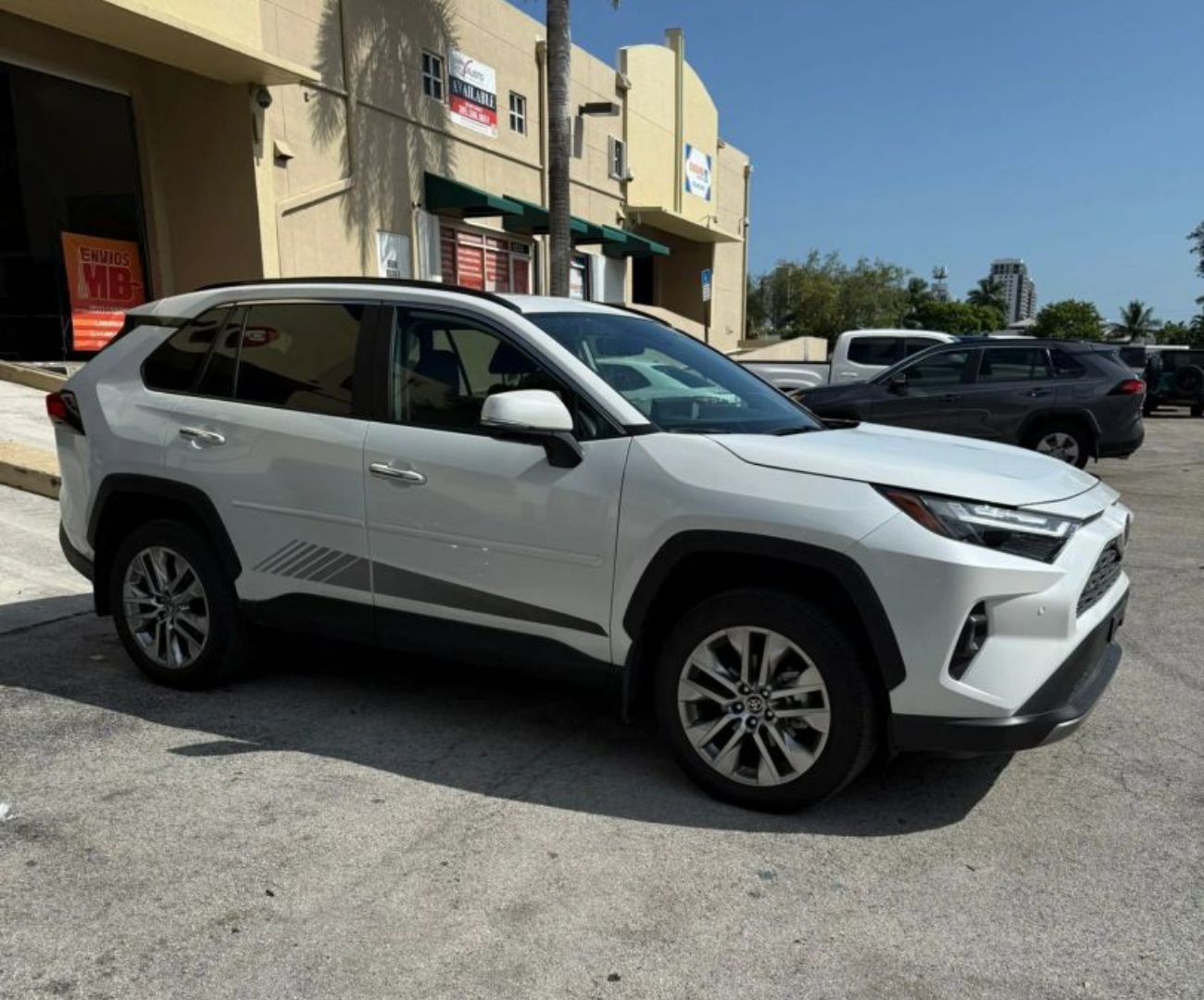 2024 TOYOTA RAV4